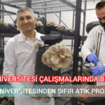 InShot_20230811_192627175