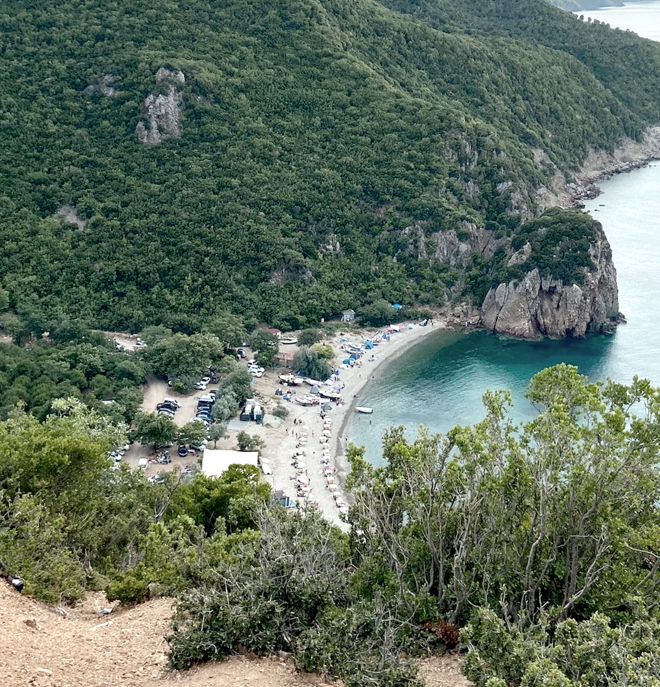 DSC_7720.jpg