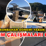 Asi-Atim