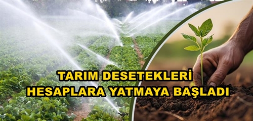 destek201020232323