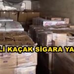80707ddc-508a-4771-93fd-dfda49dd93e3