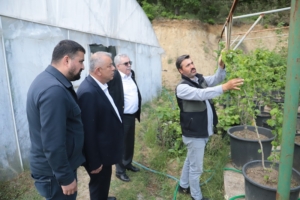 FINDIK ÜRETİCİLERİ KENDİ İŞLERİNİN PATRONU OLABİLECEK