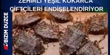 Yavuz (1)