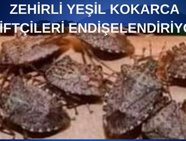 Yavuz (1)