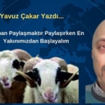 Yavuz
