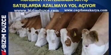 bfb14f7b-397d-49d6-8e89-62482113d29d