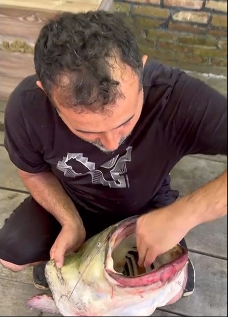 CUMAYERİ'NDE DEV YAYIN BALIĞI YAKALANDI!