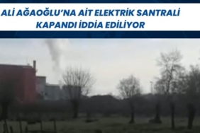 Yavuz