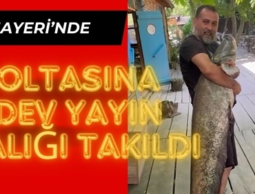 Yavuz