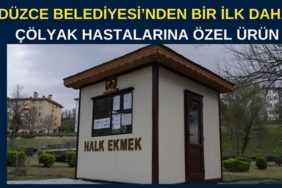 halk 1