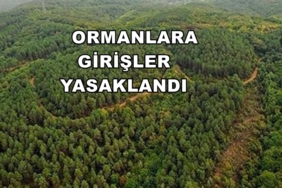 1720533528778-yeni-proje-2024-07-09-t-165941