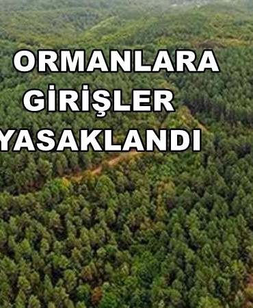 1720533528778-yeni-proje-2024-07-09-t-165941