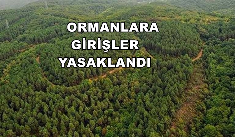 1720533528778-yeni-proje-2024-07-09-t-165941