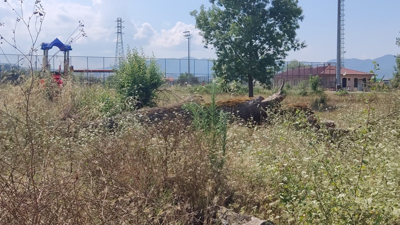 DEDEKORU TÜRBE VE MESİRE ALANI KADERİNE TERK EDİLDİ