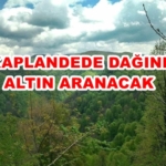 4d315440-27fe-40ca-aa62-8ea439b1b2da