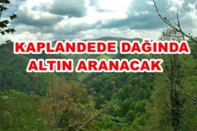 4d315440-27fe-40ca-aa62-8ea439b1b2da