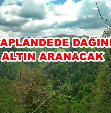 4d315440-27fe-40ca-aa62-8ea439b1b2da