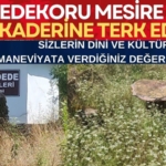 98a0d2c4-21ed-46f8-8cd1-d50624f50c99