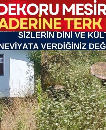 98a0d2c4-21ed-46f8-8cd1-d50624f50c99