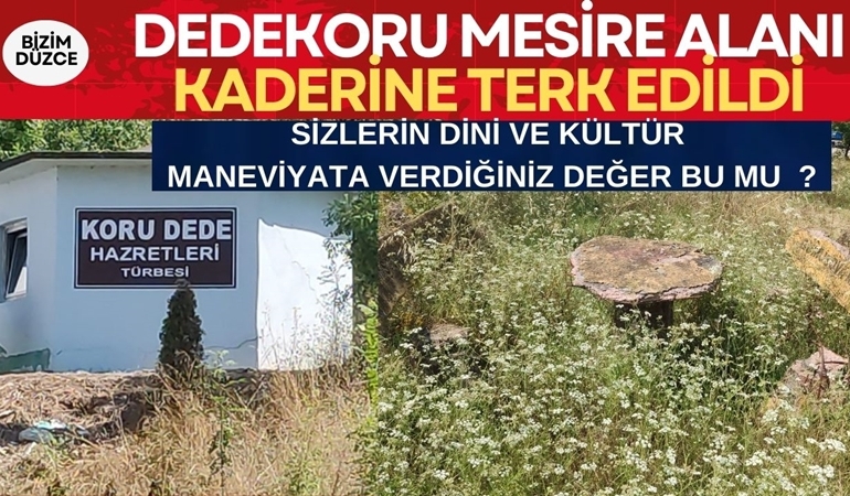 98a0d2c4-21ed-46f8-8cd1-d50624f50c99
