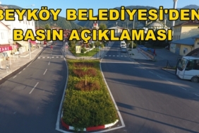 DCIM100MEDIADJI_0006.JPG