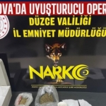 GÜMÜŞOVA