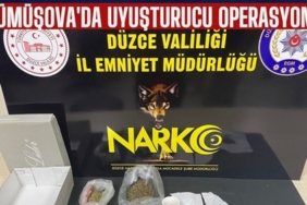 GÜMÜŞOVA