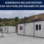 GÜMÜŞOVA BELEDİYESİ