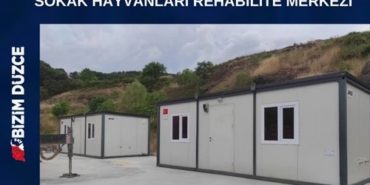 GÜMÜŞOVA BELEDİYESİ