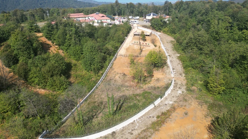 SOKAK HAYVANLARI PROJESİ TAKDİR TOPLUYOR