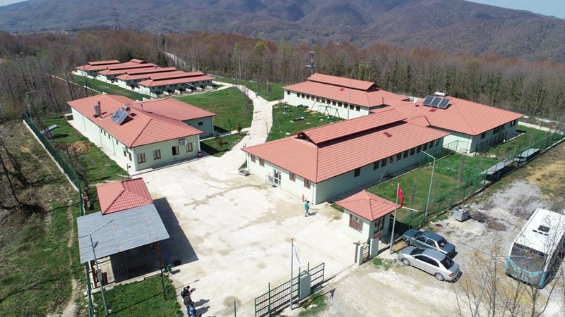 SOKAK HAYVANLARI PROJESİ TAKDİR TOPLUYOR
