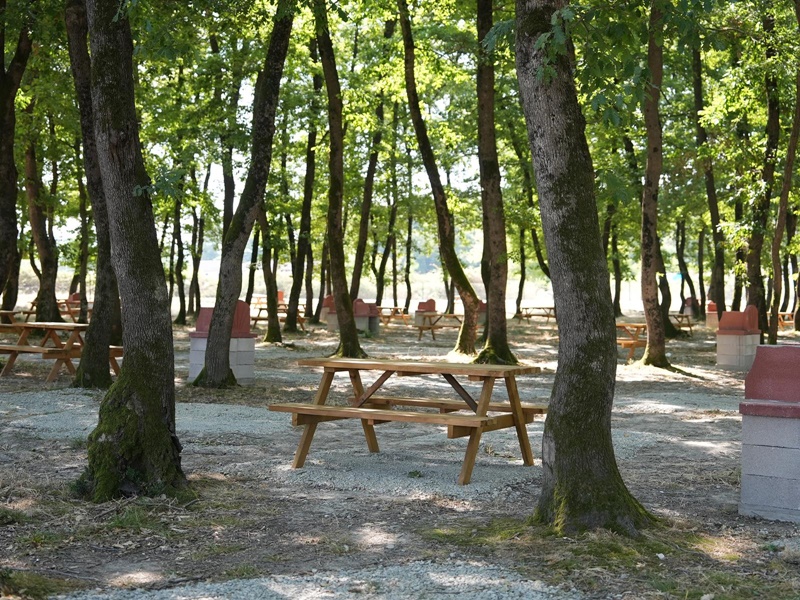 BELTUR MEŞELİK MESİRE ALANI AÇILDI