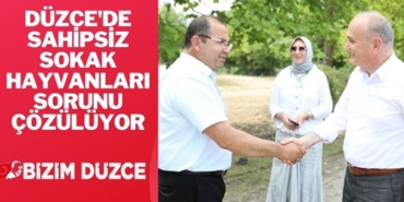 SOKAK