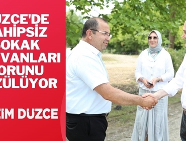 SOKAK