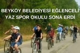 SUÇ MAKİNALARI (1)