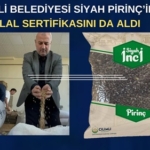 halime Evren