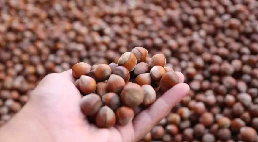 ÜRETİCİ'LER ''TABAN FİYAT'IN ANLAMINI SORUYOR''