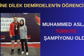 Bir başlık ekleyin (4)