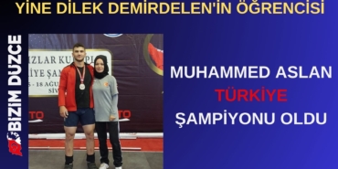Bir başlık ekleyin (4)