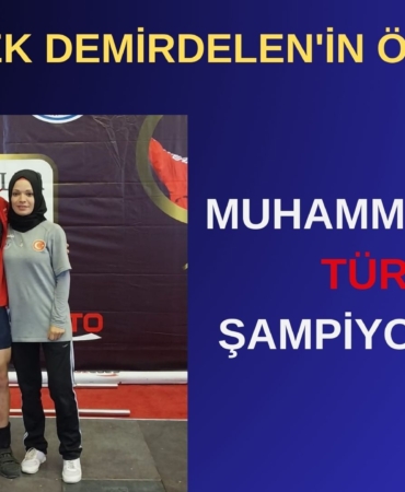 Bir başlık ekleyin (4)