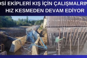 DSİ