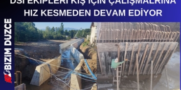 DSİ