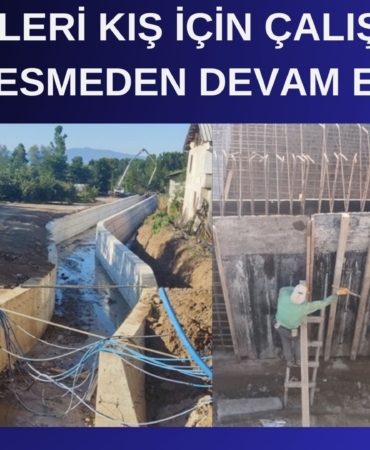 DSİ