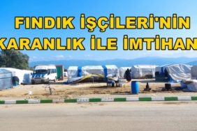 FINDIK İŞÇİSİ