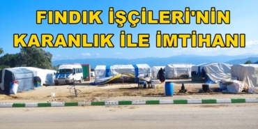 FINDIK İŞÇİSİ