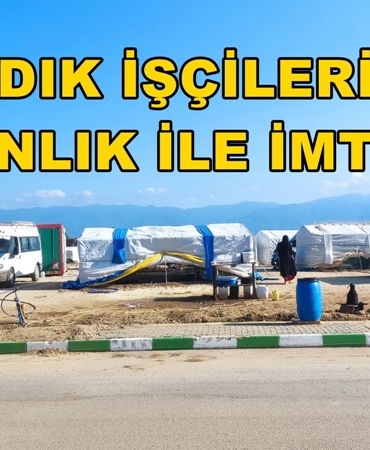 FINDIK İŞÇİSİ