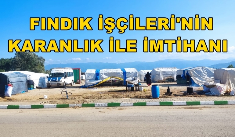FINDIK İŞÇİSİ