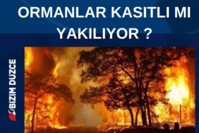 HAREKET MERKEZİ