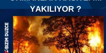 HAREKET MERKEZİ
