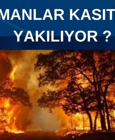 HAREKET MERKEZİ